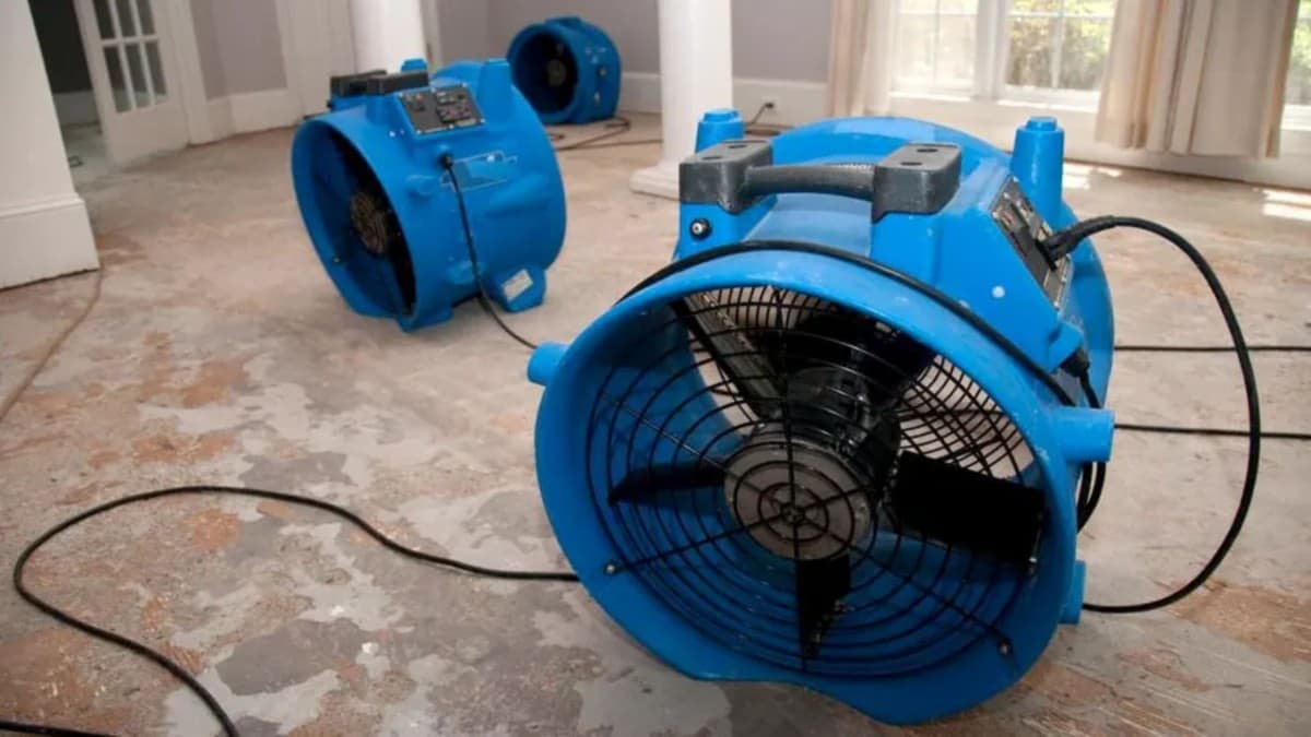 Houston Water Damage Reviews Highlight Predator Restoration Inc's 24-Hour Response and IICRC-Certified Technicians