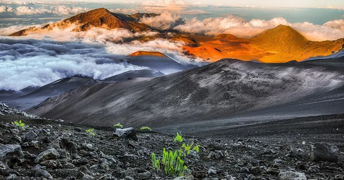 This Week Hawaii Marks 60 Years with Digital Tracking Expansion