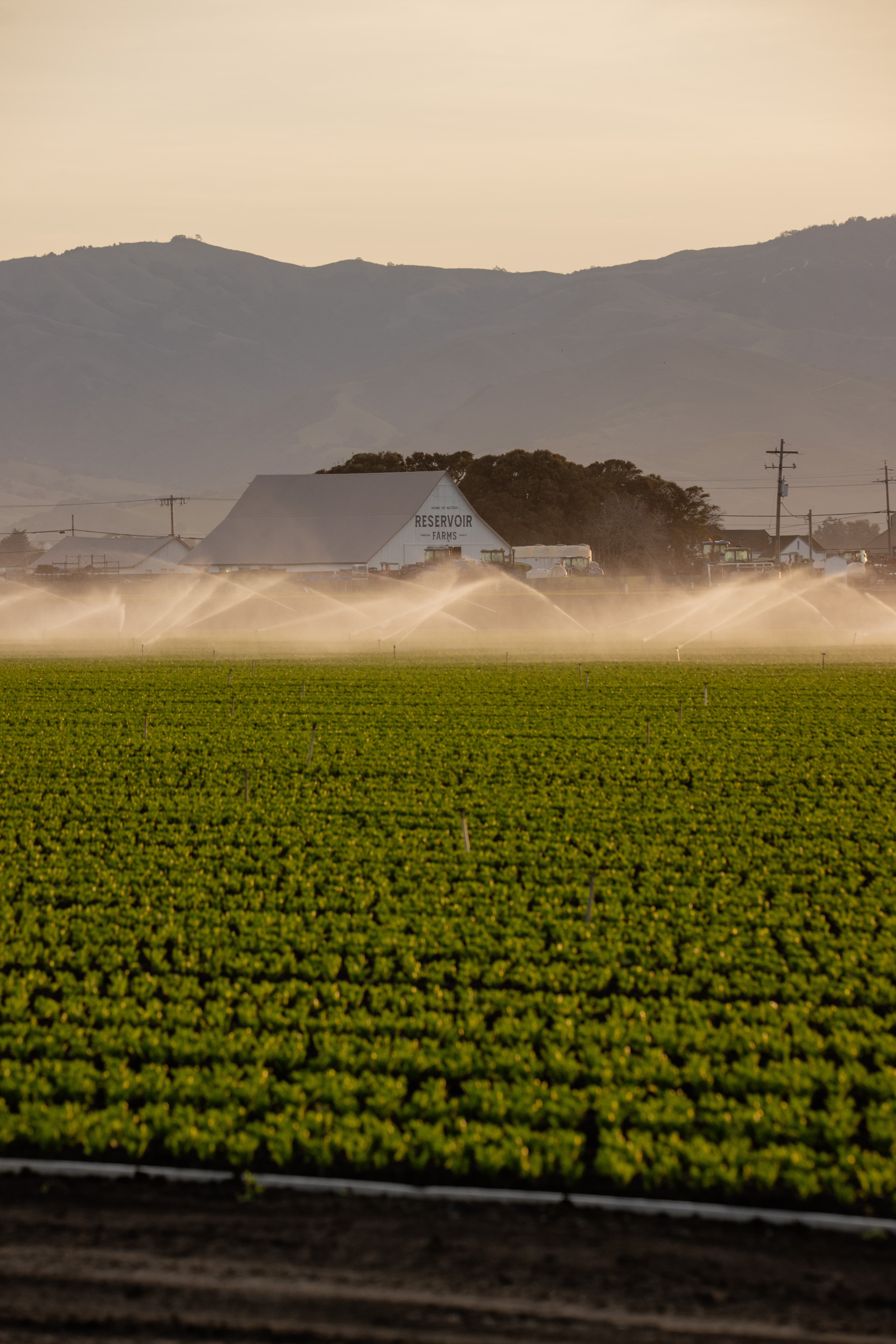 Reservoir Opens Farms to Accelerate Rugged AI and AgTech Innovation with Free Associate Tier