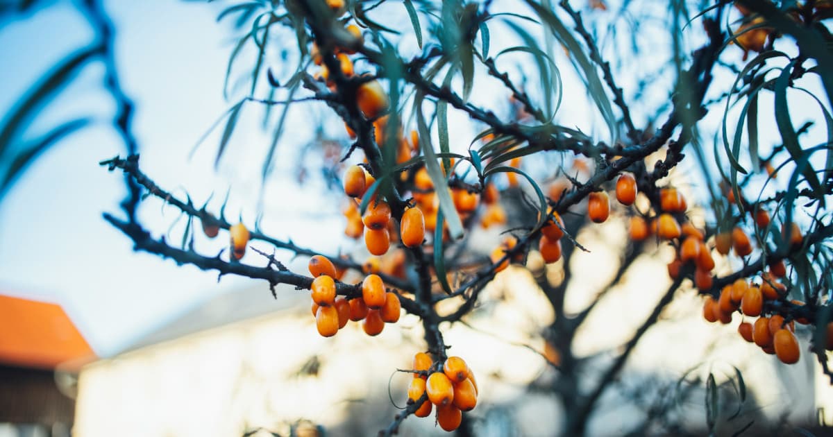 Building Immune Resilience: Five Daily Habits That Matter During Cold and Flu Season