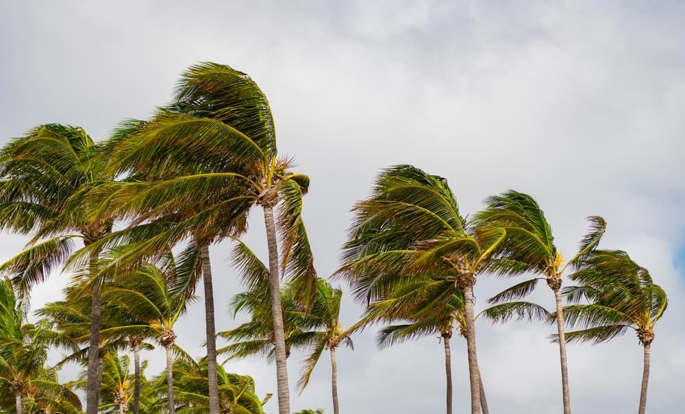 Why the 'Stable Income' Assumption After Disasters Is Indefensible for Commercial Real Estate Investors